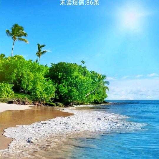 宝阳🌱