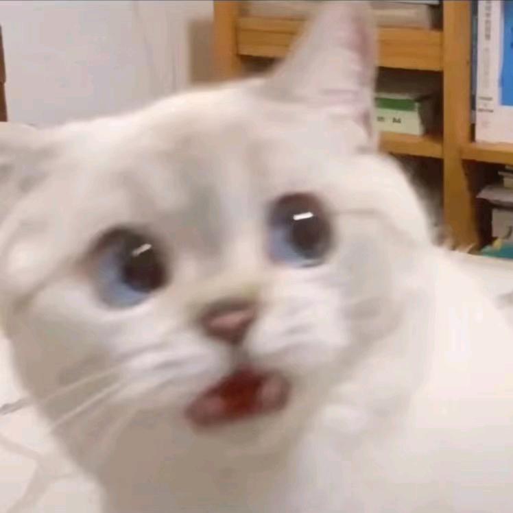 661133