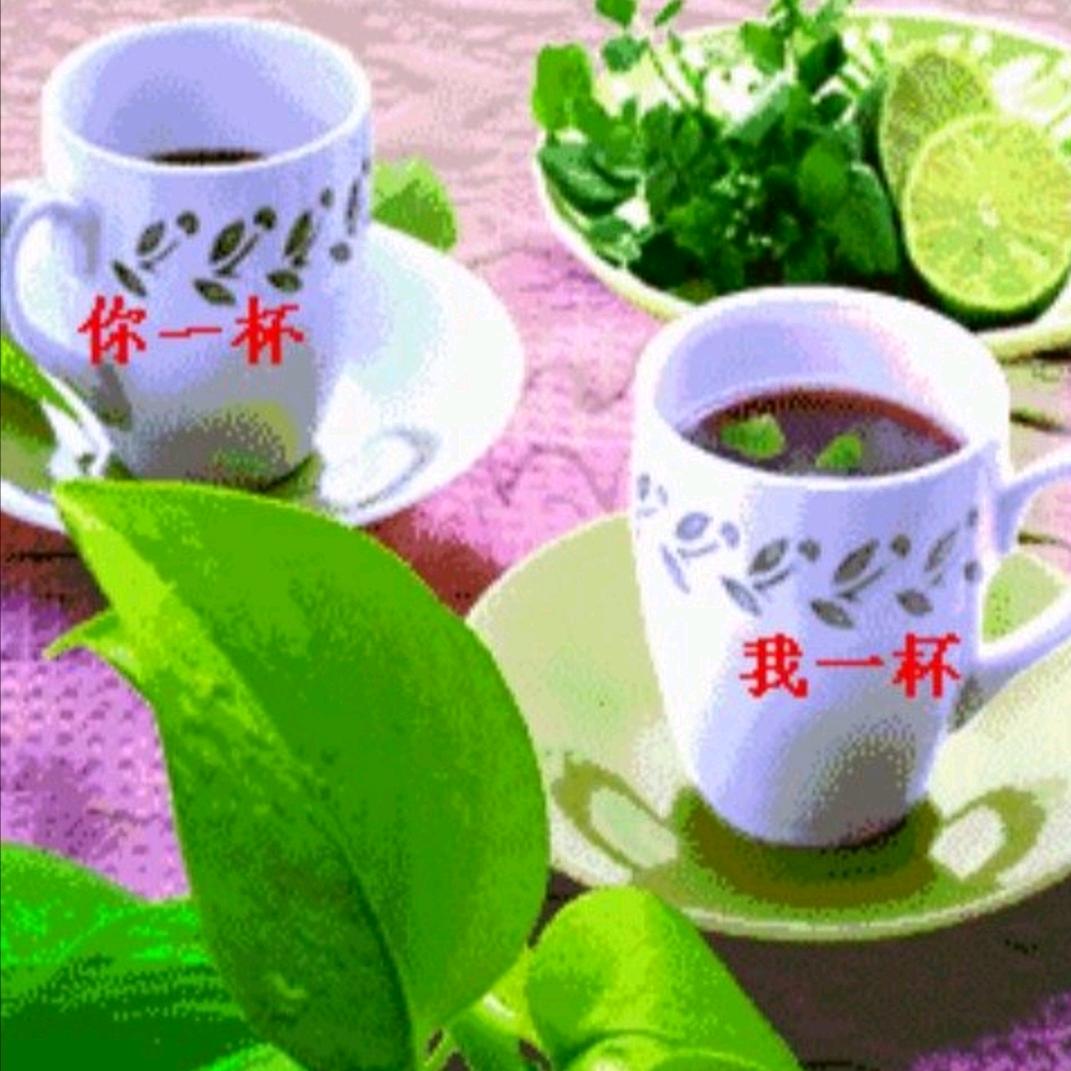 🌺💃漫天💫飞舞💃🌺