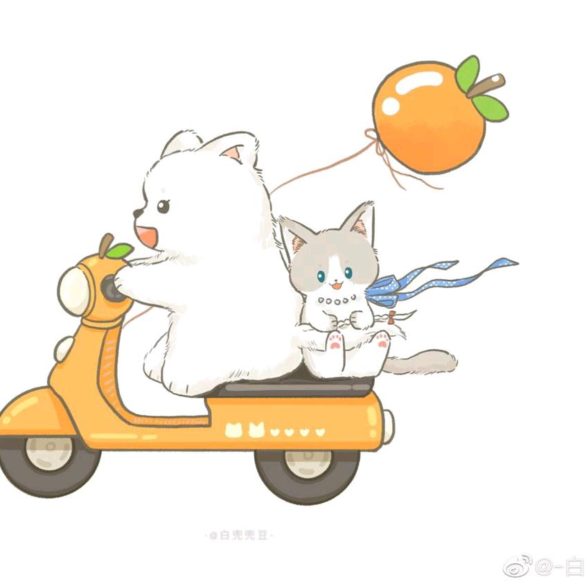 橘子🍊