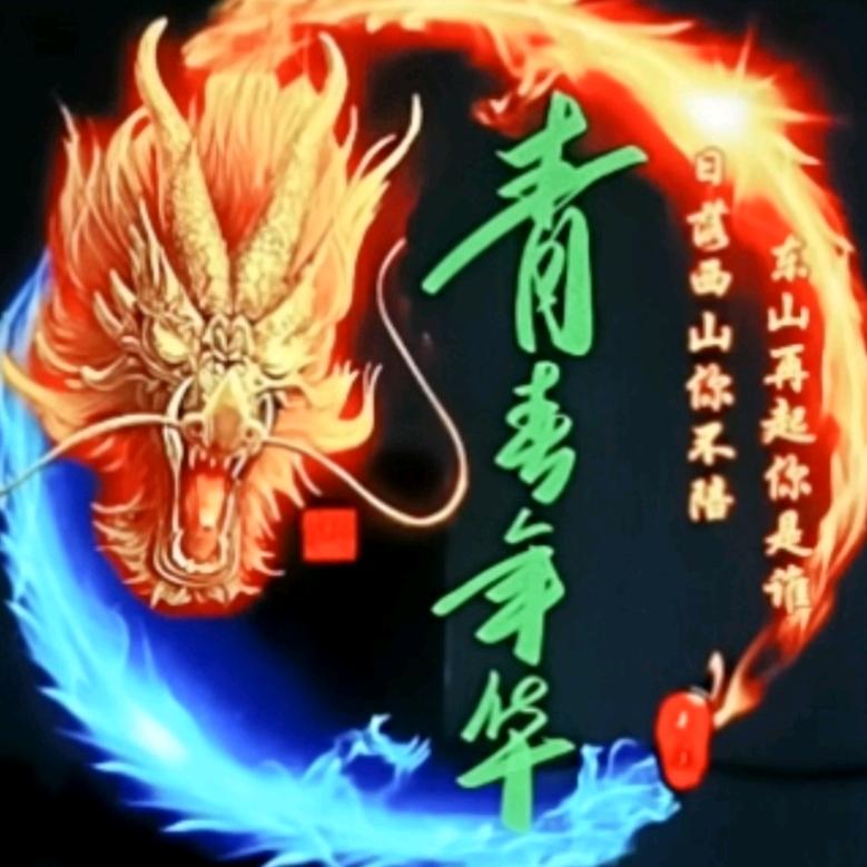 青春年华