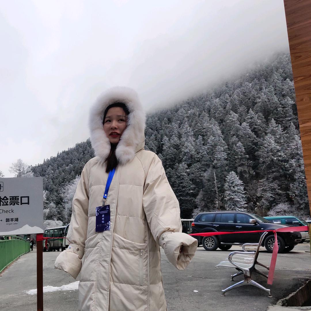 李子蝶恋盼花香