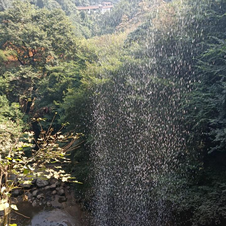 大圣已归来