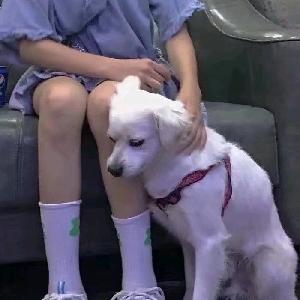 快乐气泡水