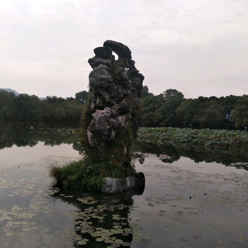 仁医护理堂