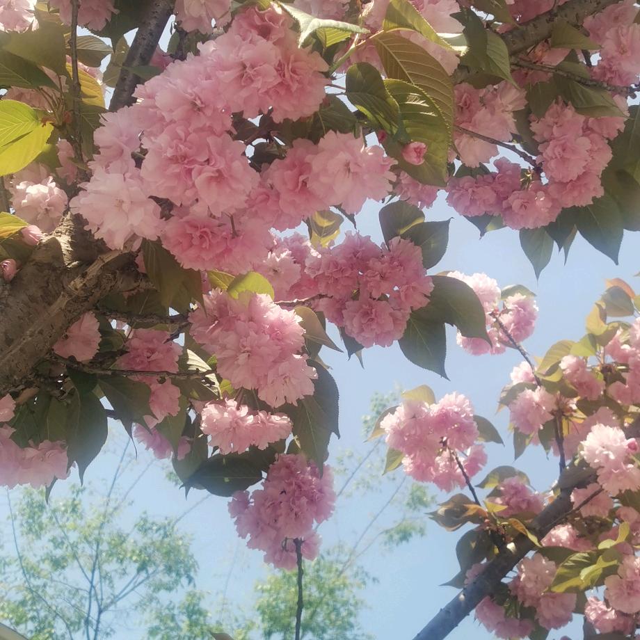 思南县瓮溪镇M.G轻奢沙龙美容美发