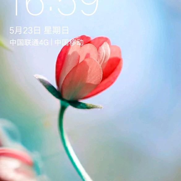 歌 者_