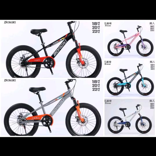 温陈自行车，童车店