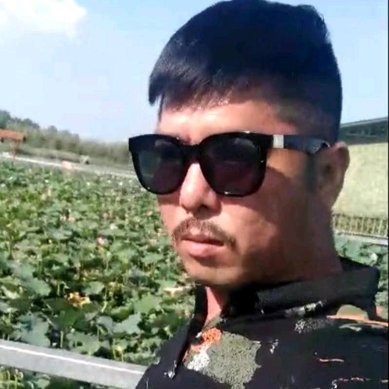 落叶