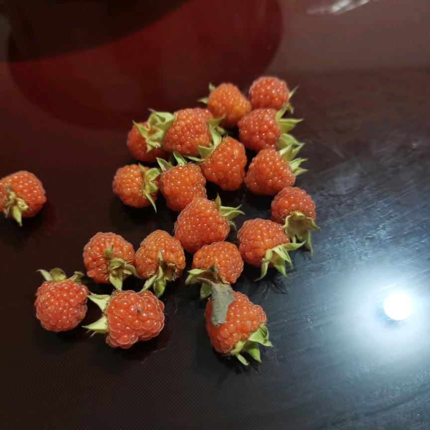 一切顺其自然