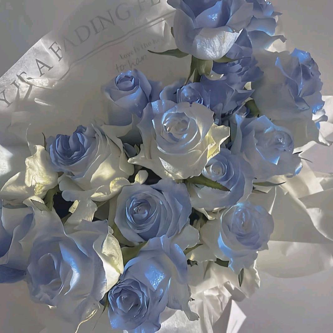 Ran@拒绝连👍，