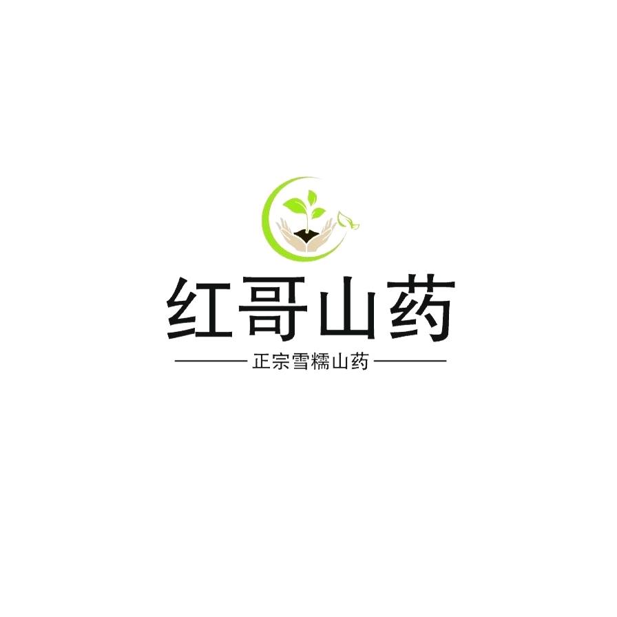 山药哥-山药横向种植