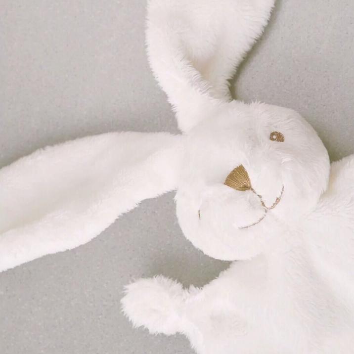 梨不掉