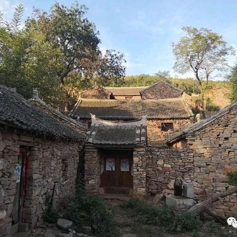 荠麦青青