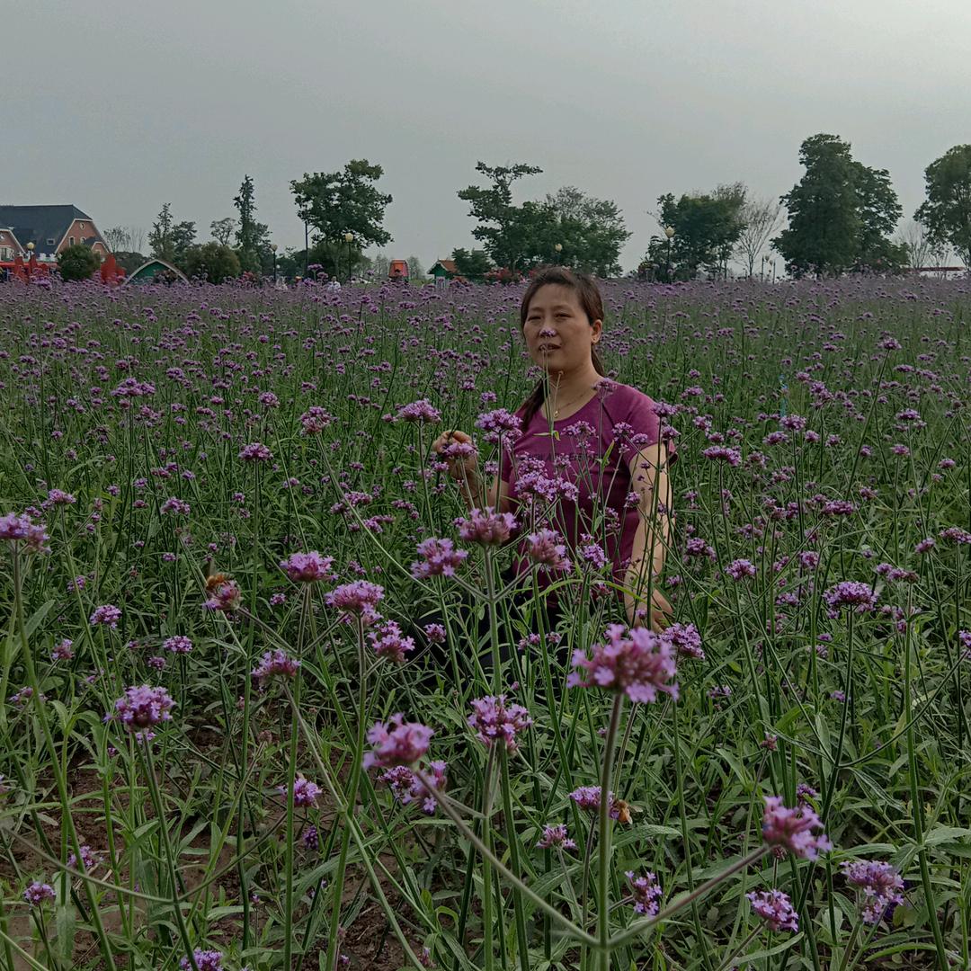 菲菲