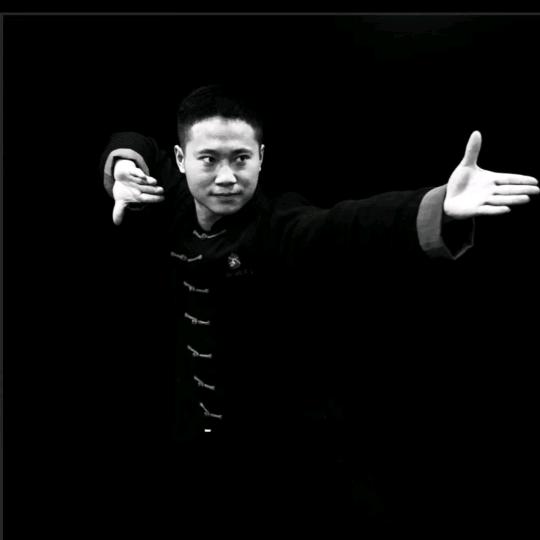 百家拳武者