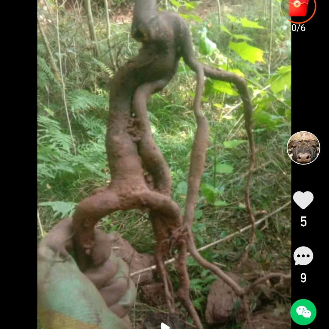 问心无愧