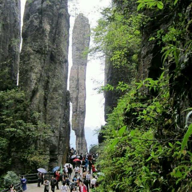 黑风暴