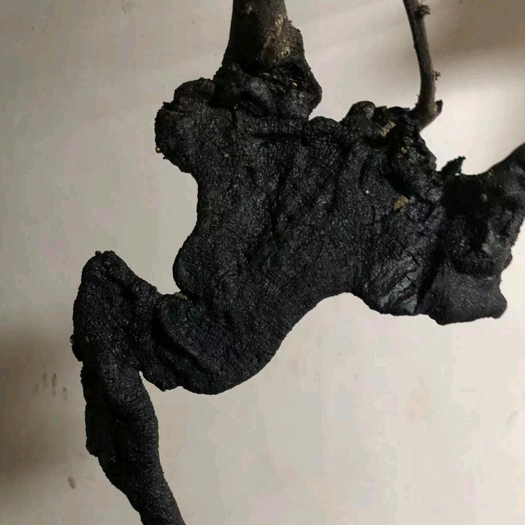 卡沅商贸行