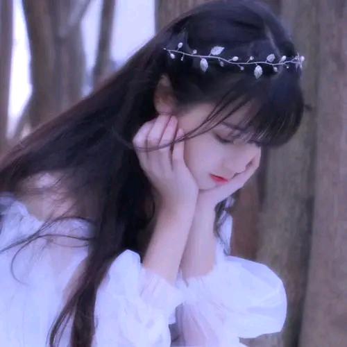 锦乐
