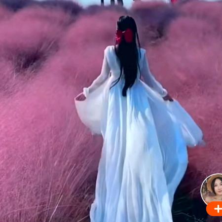 醉美花海花卉园艺