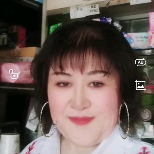 王淑甄嬛