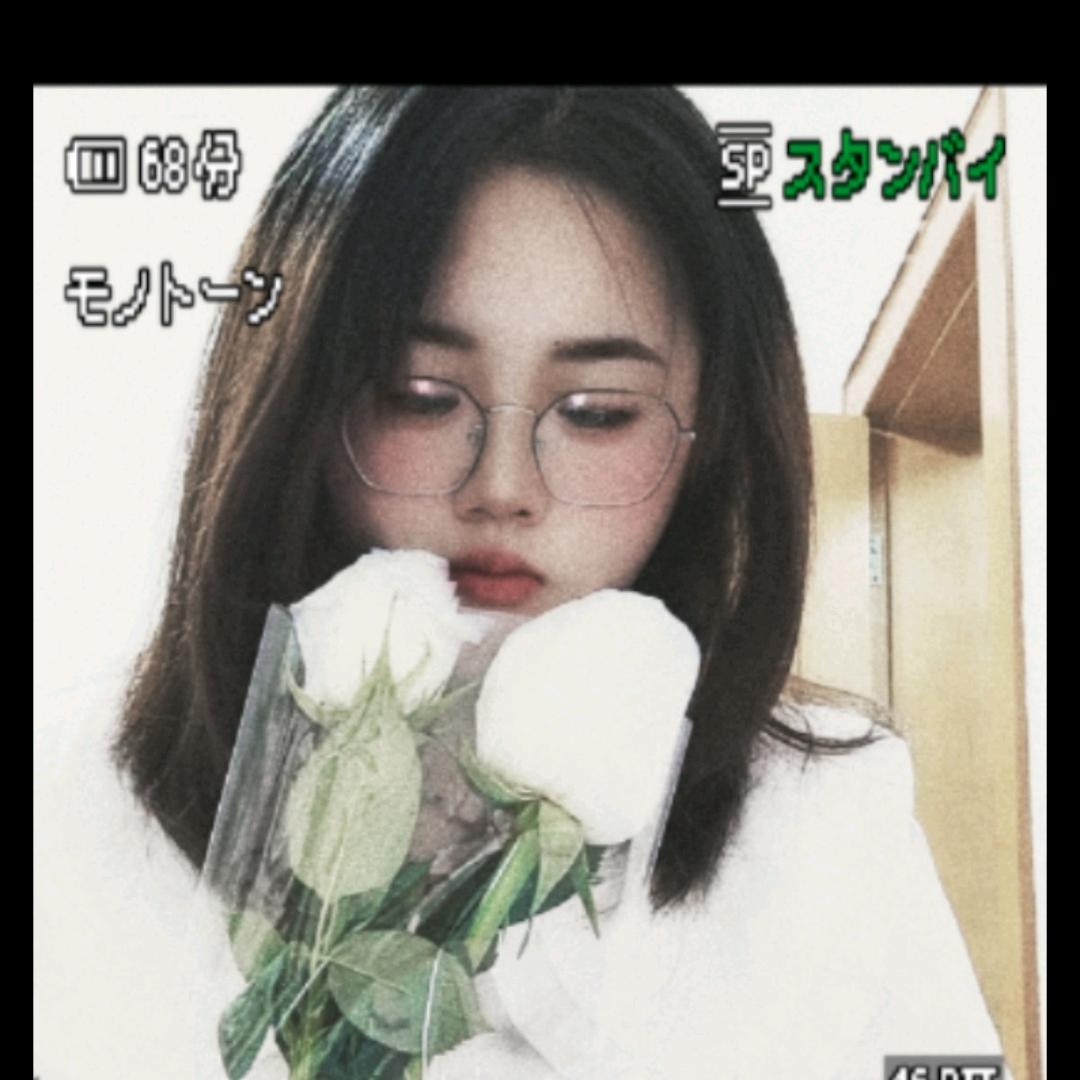 释怀鸟