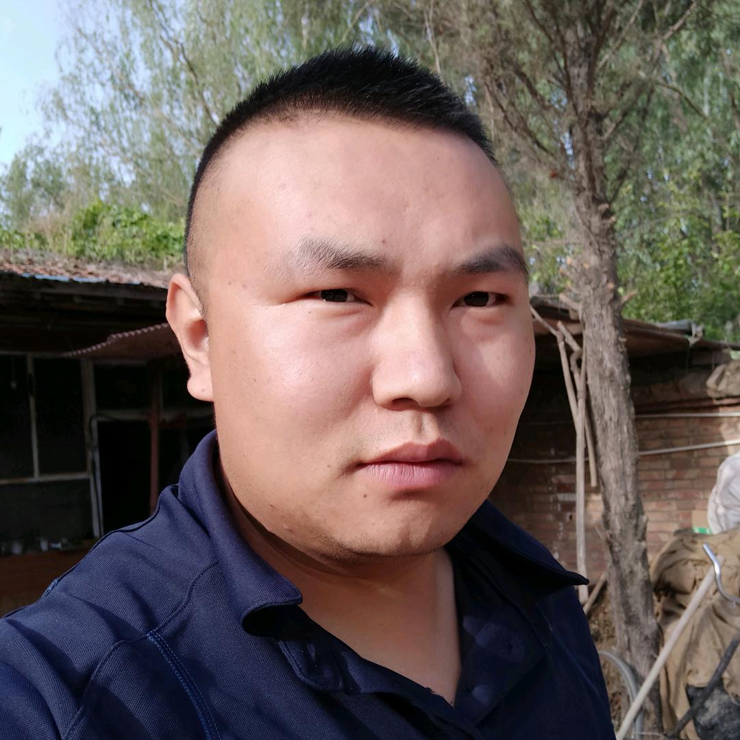 包头萧氏专业信鸽育种