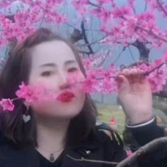 随心