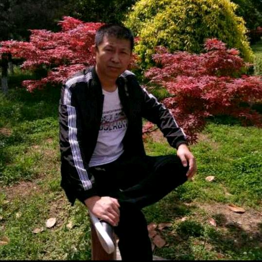 杨哥（北极熊）