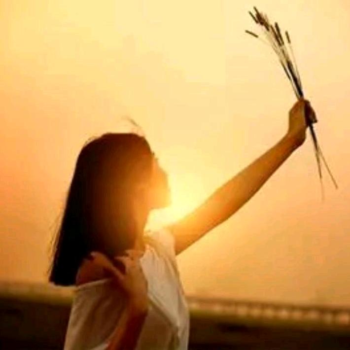 ☀️阳光☀️