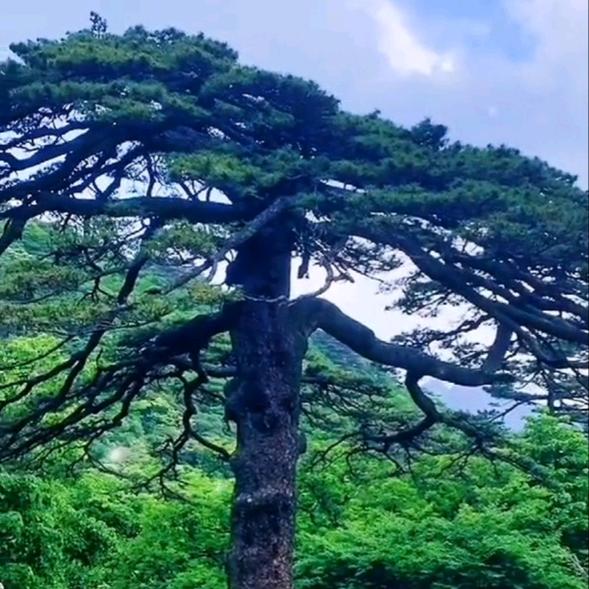 坦然面对