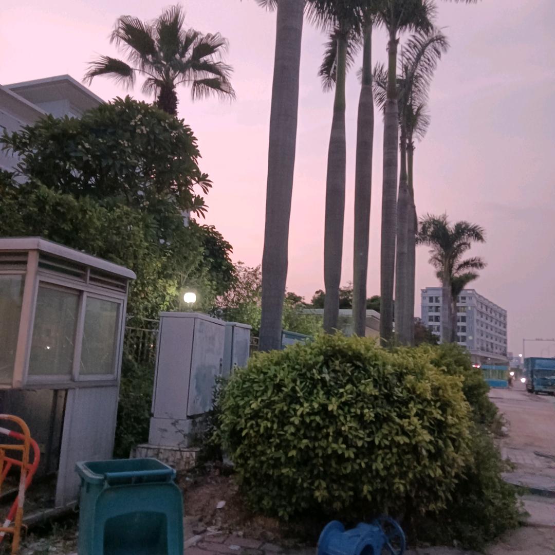 顺其自然