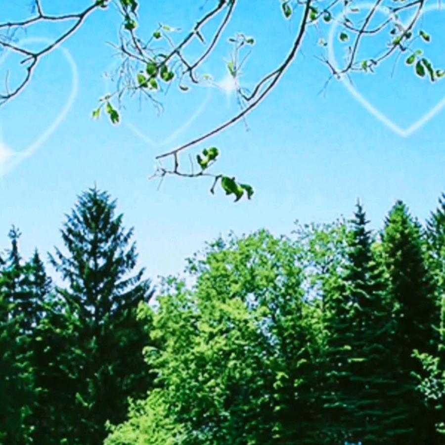 平淡姐姐🌷🍁🌴