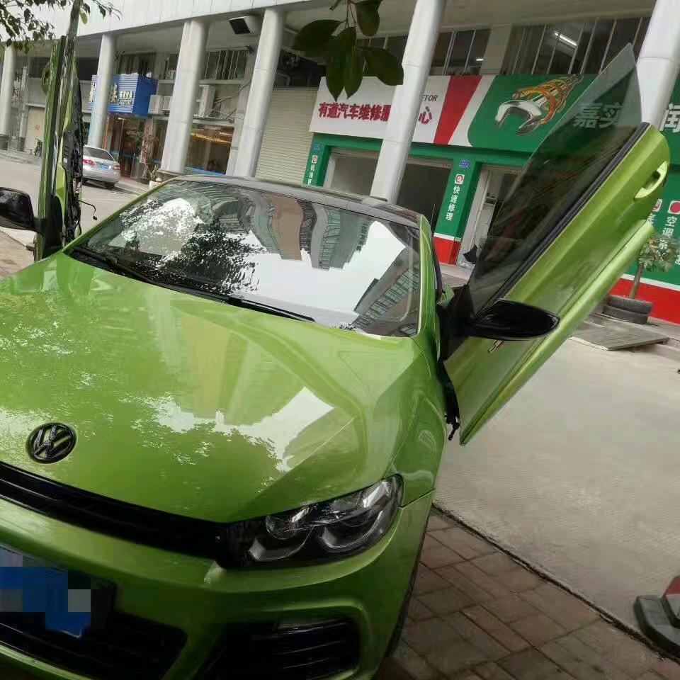 惠州萌宠