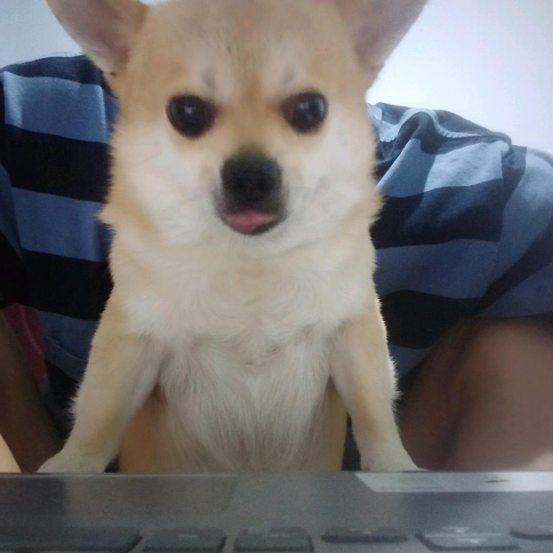 尹雪儿