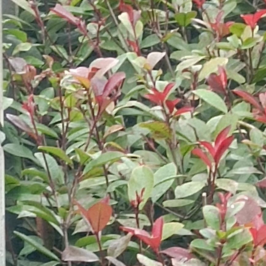 于，游泳的鱼