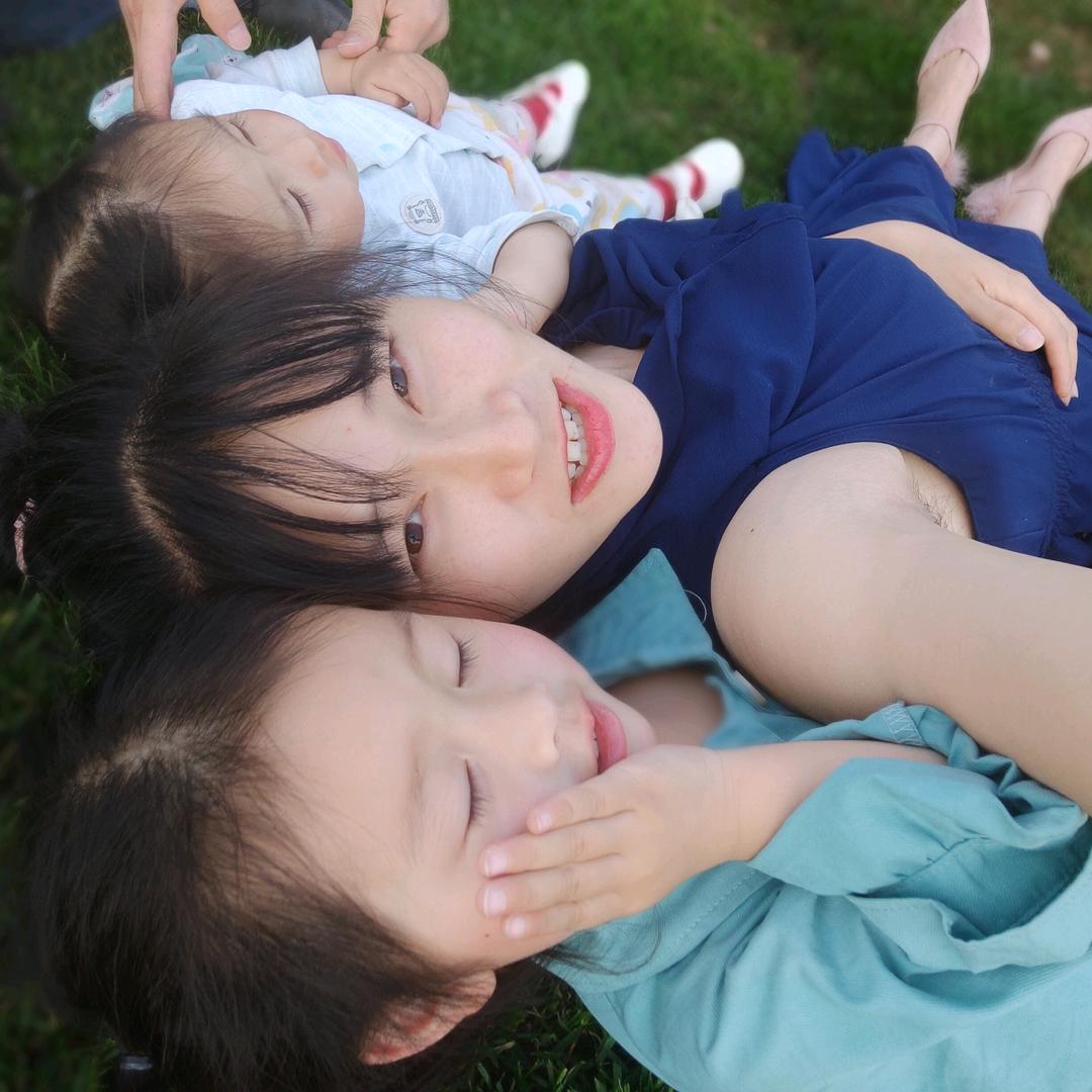 哭︿泣的枯叶蝶