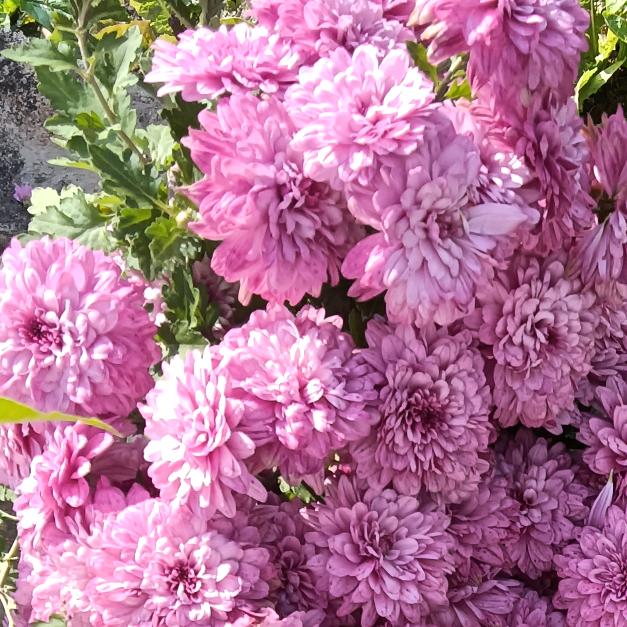 世间万物不及你