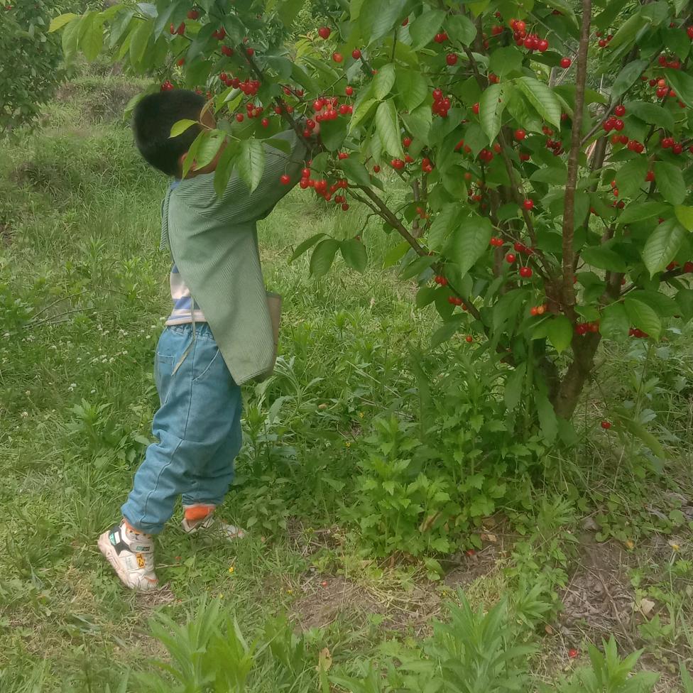 小心