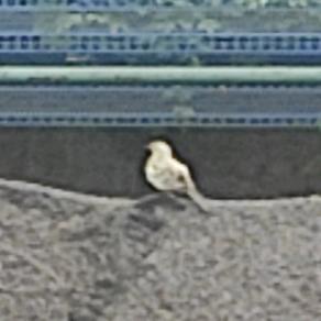 不想起名