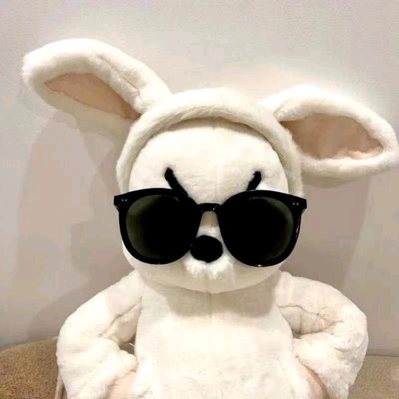 小菊百货好物分享