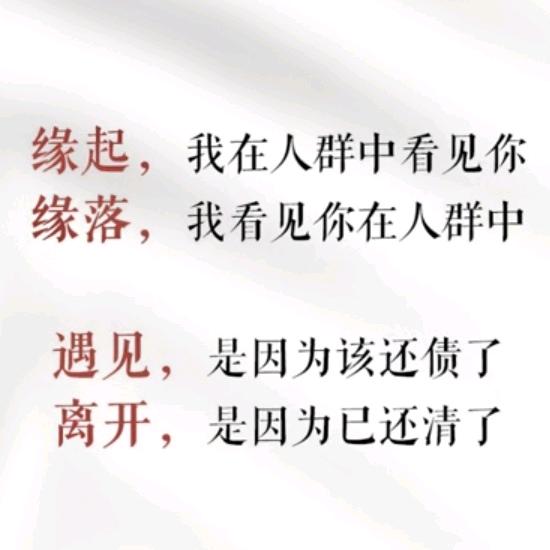 LP🐷⁰⁵.₂₁杨℘࿐