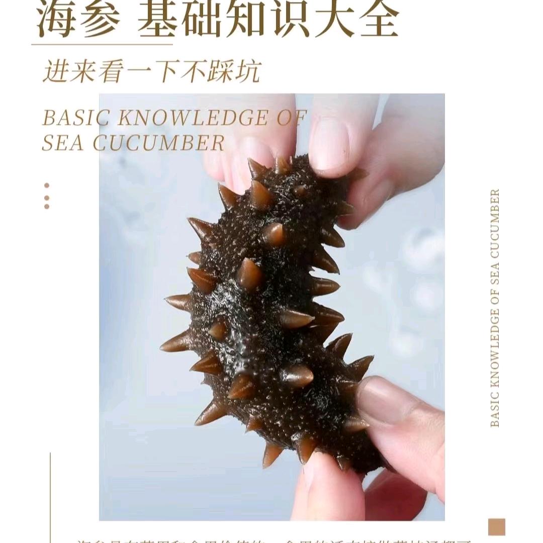 沂源县烟京海参店