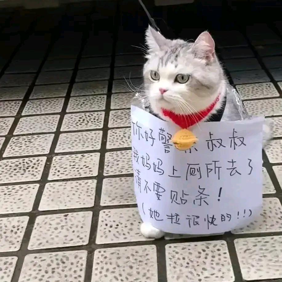 灭绝赛博藤壶头像