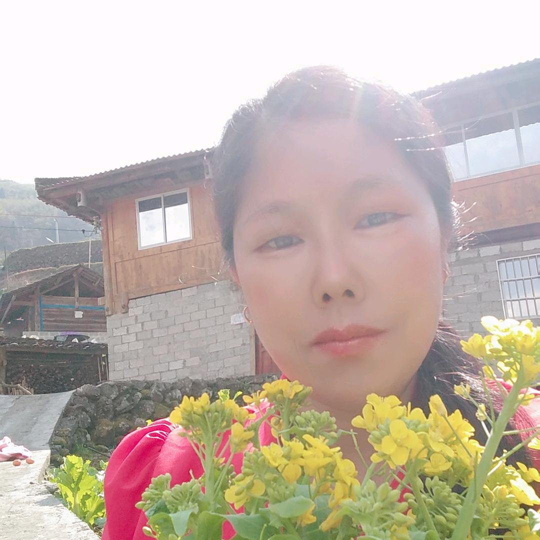 每天开心