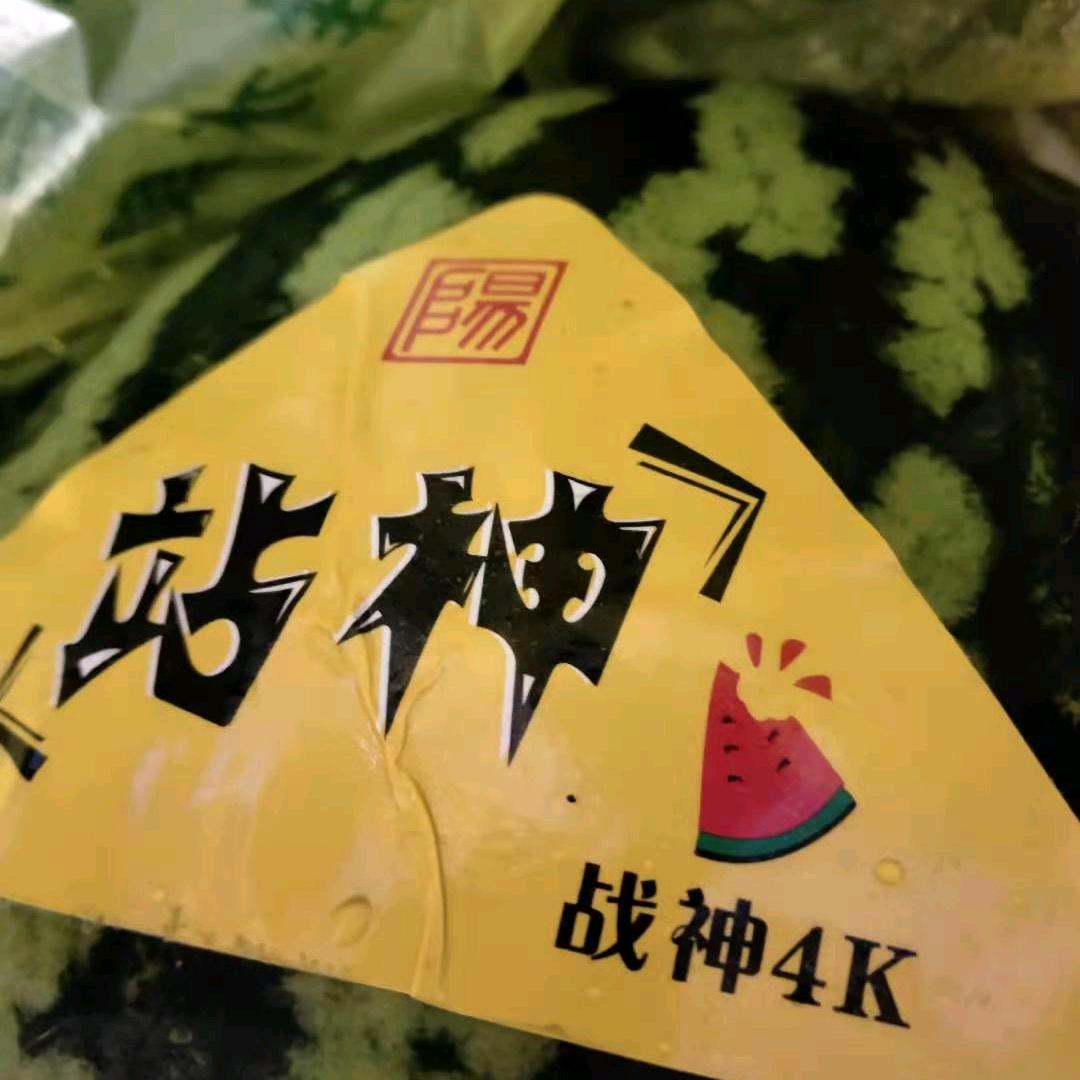 奔赴一场青春的约会