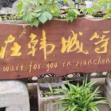 龙行