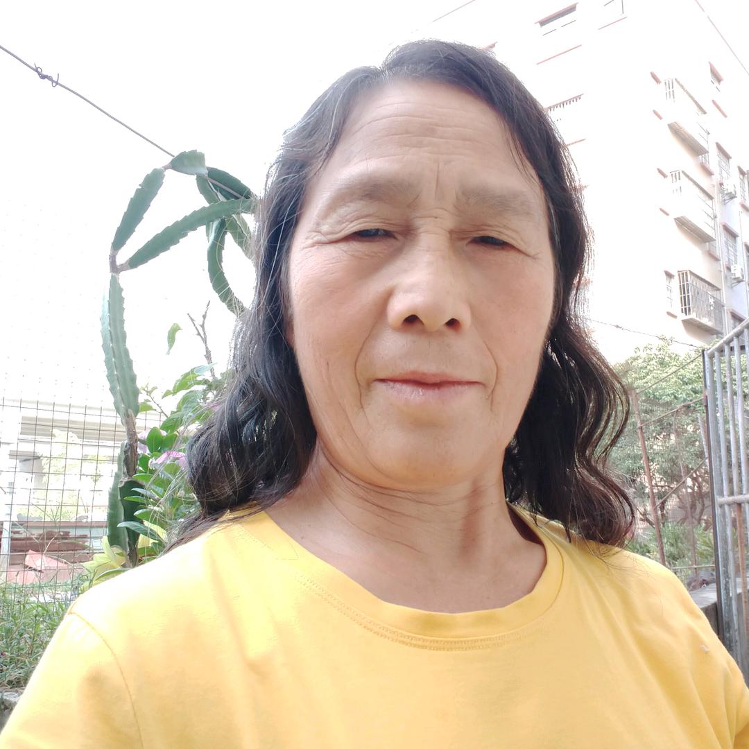 开航奶
