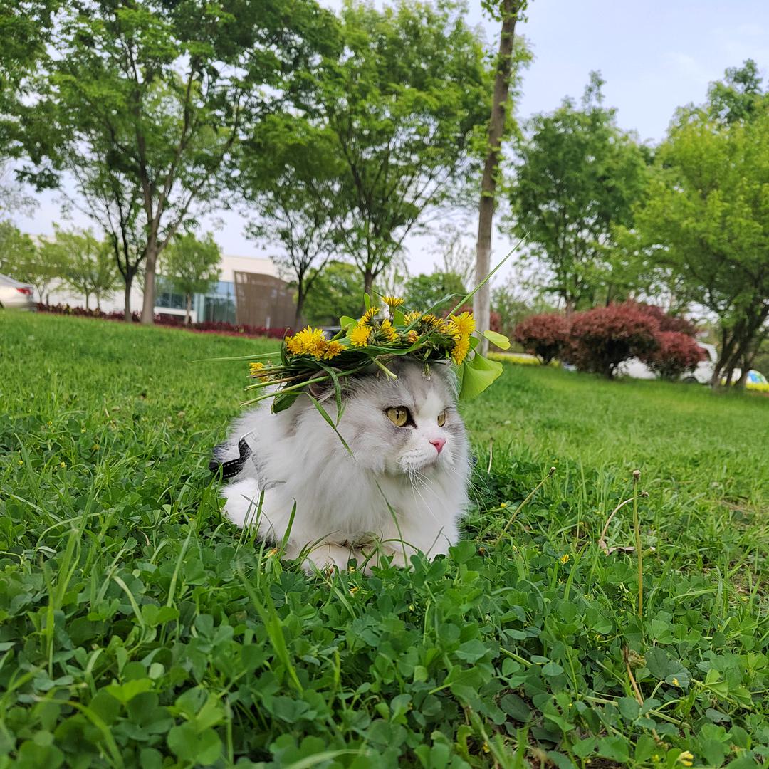 何薇(❁´◡`❁)